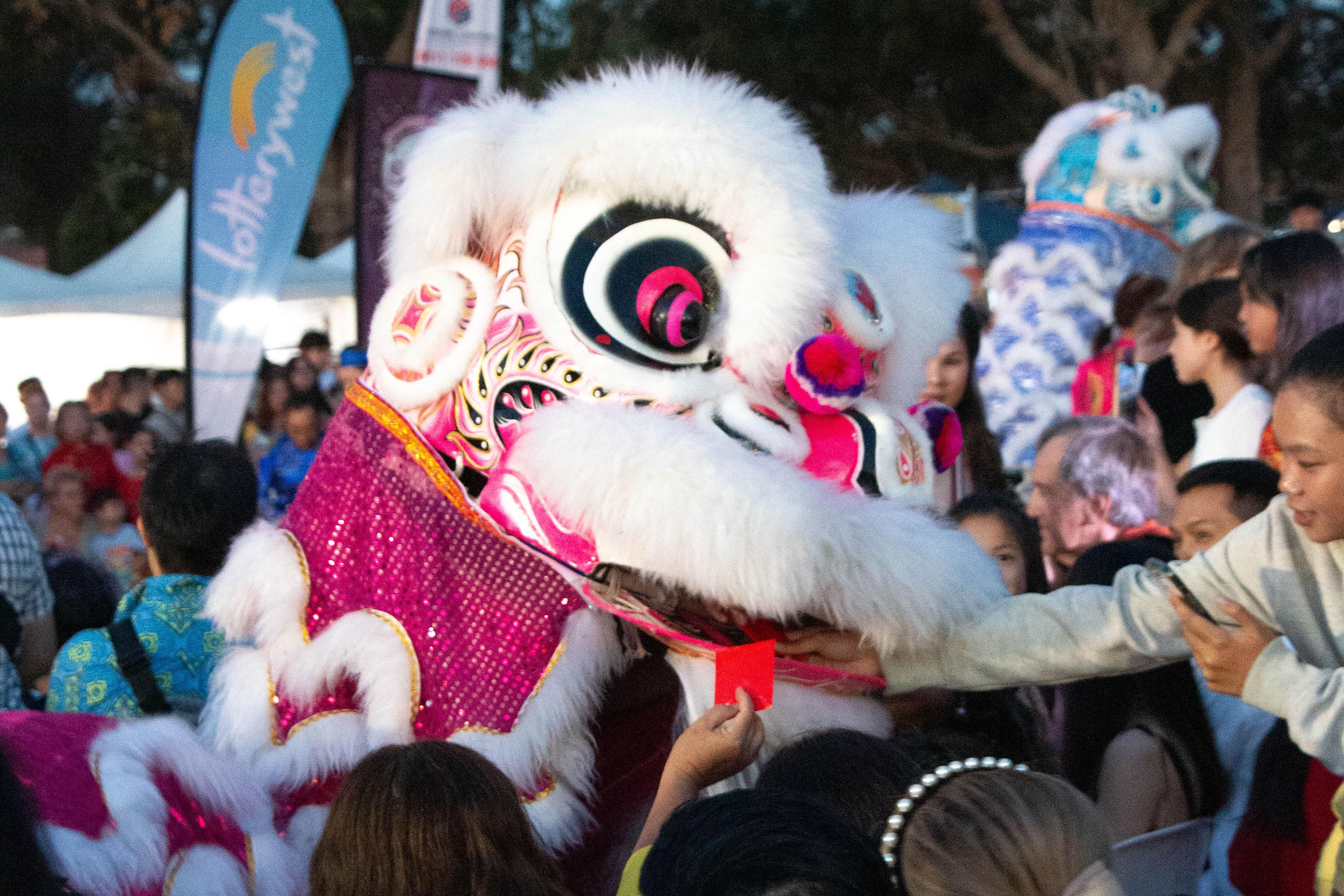 Tet Festival dragon 