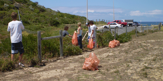 People cleaning a beach