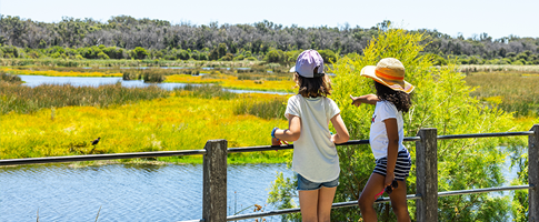 Two children looking over a wildlife area