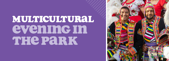 Multicultural Evening in the Park