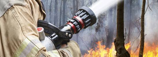 Firefighter tackling a bushfire