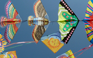 Various kites