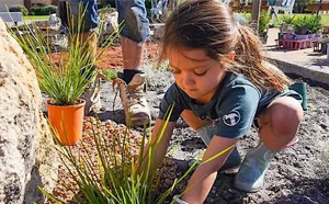 A young girl gardening