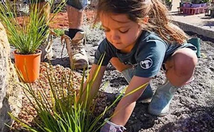 Young child planting 