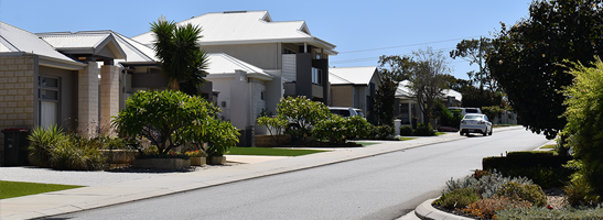 Street with trees lining the road