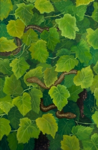Orchestrating the Grapevine 3, Indra Geidans. Acquired 2001, Oil on Board
