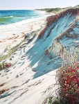 Patterns of a Coastal Morning, Suzanne Logue. Acquired 2008, Acrylic on Canvas