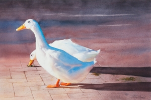 Early Risers, Susan Payne. Acquired 2016, Watercolour 